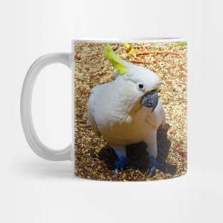 This is my good side! Mug